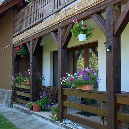 Pensiunea Rares Bistrita Bargaului Exterior foto
