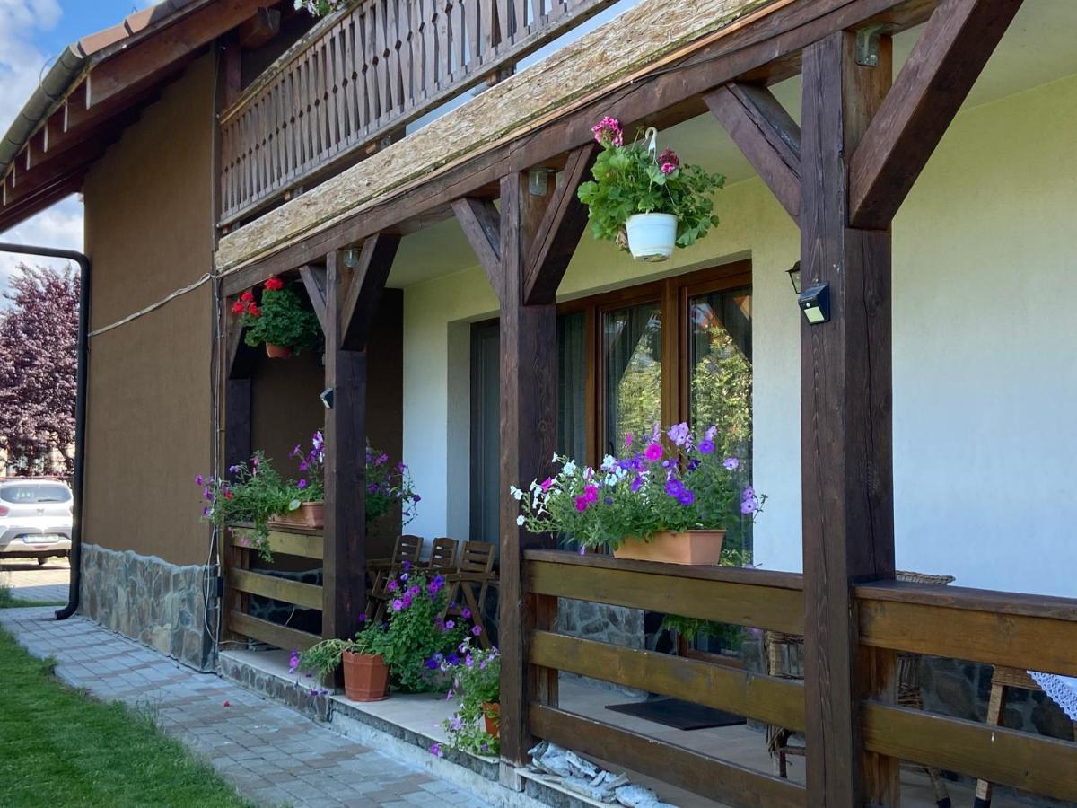 Pensiunea Rares Bistrita Bargaului Exterior foto