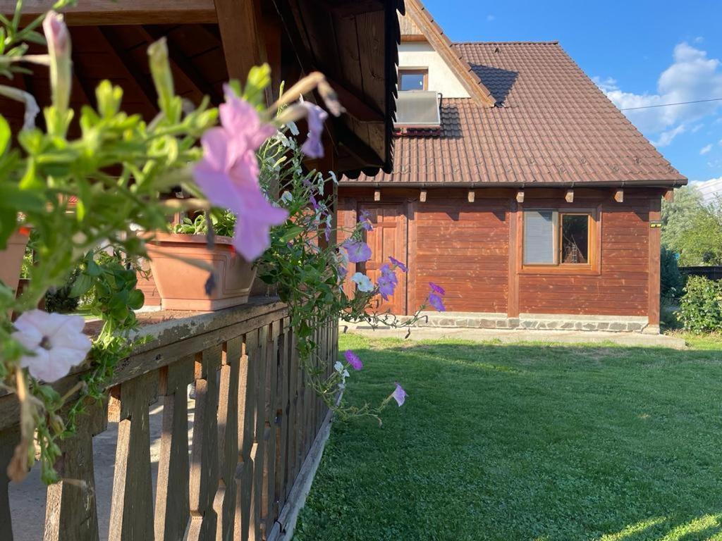 Pensiunea Rares Bistrita Bargaului Exterior foto